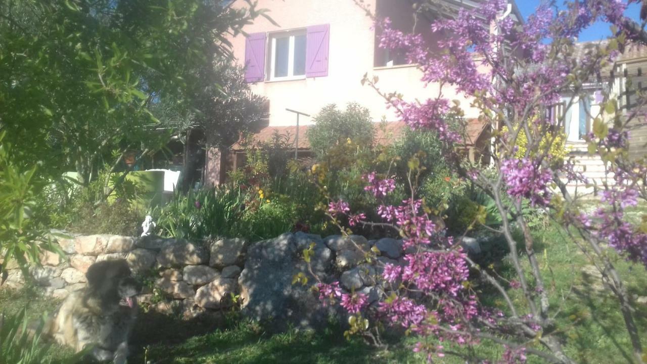 Granes Le Gite De Cristal Proche Bugarach מראה חיצוני תמונה